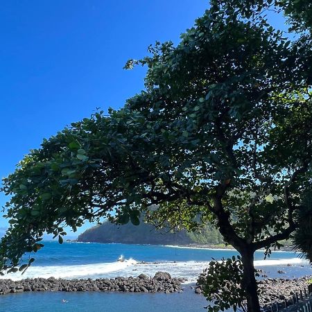 Le Liseron Creole - Entre Terre, Mer Et Riviere - Proche Toutes Commodites Saint-Joseph Exterior foto