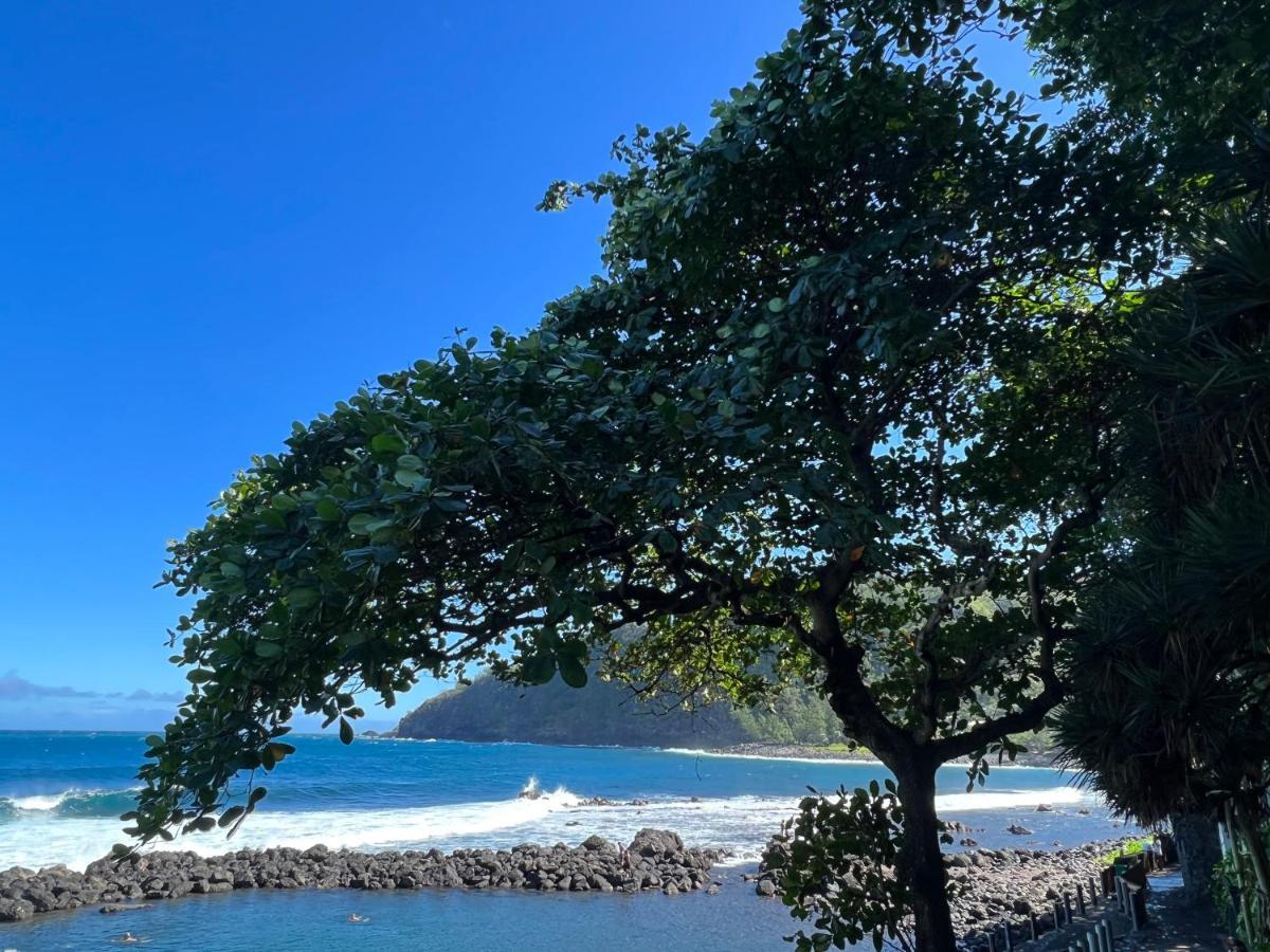 Le Liseron Creole - Entre Terre, Mer Et Riviere - Proche Toutes Commodites Saint-Joseph Exterior foto